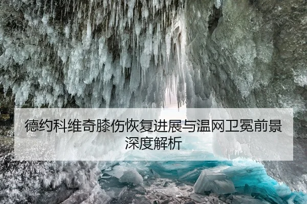 德约科维奇膝伤恢复进展与温网卫冕前景深度解析